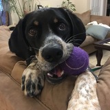 Entry image for Charlie