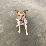 Entry image for Lyla