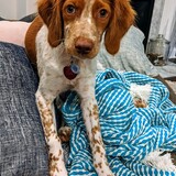 Entry image for Neville Kohl