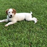 Entry image for Jersey