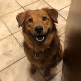 Entry image for Fanci Pants 