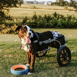 Entry image for Sophie