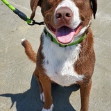 Entry image for Finnegan