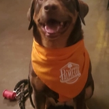 Entry image for Roxy