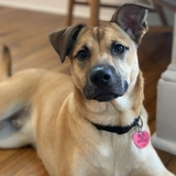 Entry image for Frank