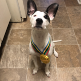 Entry image for Casca