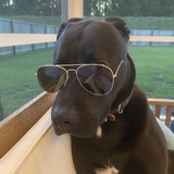 Entry image for Winston