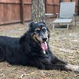 Entry image for Zoey