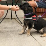 Entry image for Jazzy