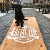 Entry image for Charlie