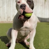 Entry image for Zoey