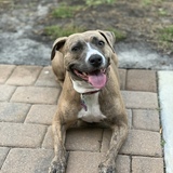 Entry image for Emma