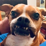 Entry image for Jinger