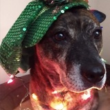 Entry image for Vegas 