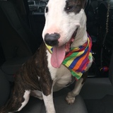 Entry image for Doce (pronounced dough-say)