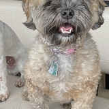 Entry image for Holly 