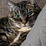 Entry image for Jack