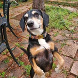 Entry image for Luke Thompson