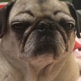 Entry image for Sunny Girl