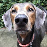 Entry image for Quinn