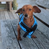 Entry image for Rupert