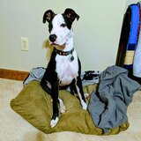 Entry image for Chase 