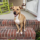 Entry image for Clyde