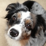 Entry image for Newcastle (Cassie)