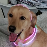 Entry image for Cassie