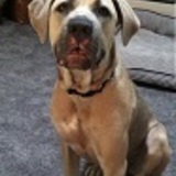 Entry image for Libby