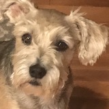 Entry image for Stitch