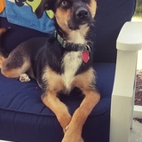 Entry image for Vespa