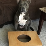 Entry image for Tia  (aka Valentina)