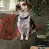 Entry image for Jack bennett