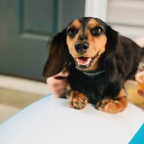 Entry image for Margot