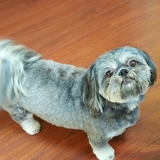 Entry image for Kingston