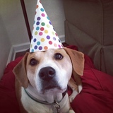 Entry image for Marian