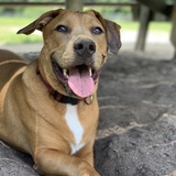 Entry image for Deefur