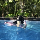 Entry image for Bunker