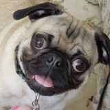 Entry image for George