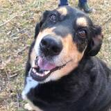 Entry image for Sammi