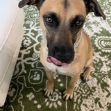 Entry image for Honey