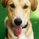 Entry image for Oakley