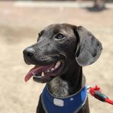 Entry image for Sully