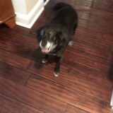 Entry image for Tina 