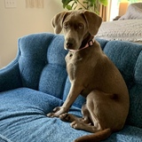 Entry image for Julep