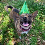 Entry image for Teddy