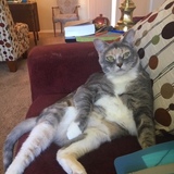 Entry image for Sunny