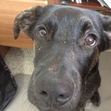 Entry image for Sumter