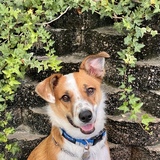 Entry image for Charleston “Charlie”